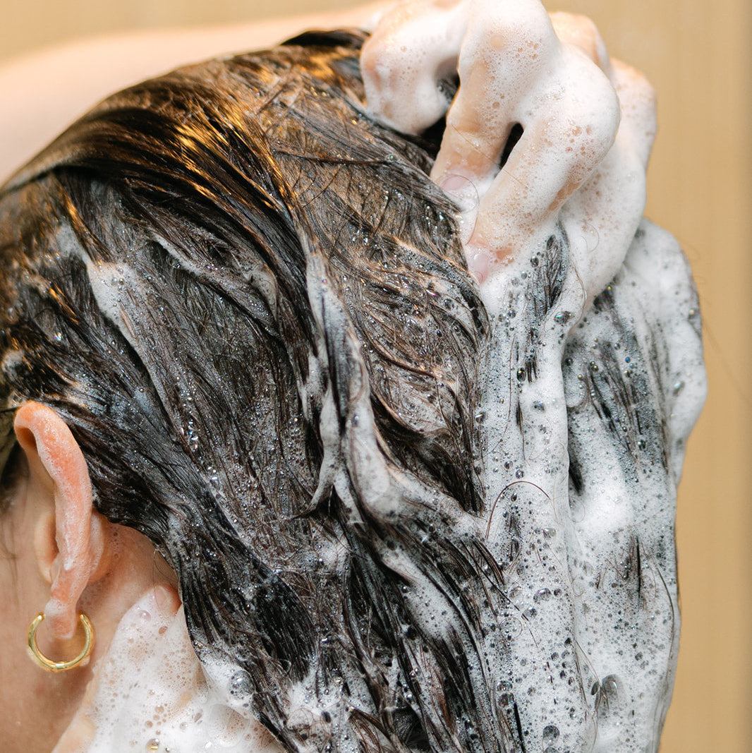 Tallow-Infused Shampoo & Conditioner