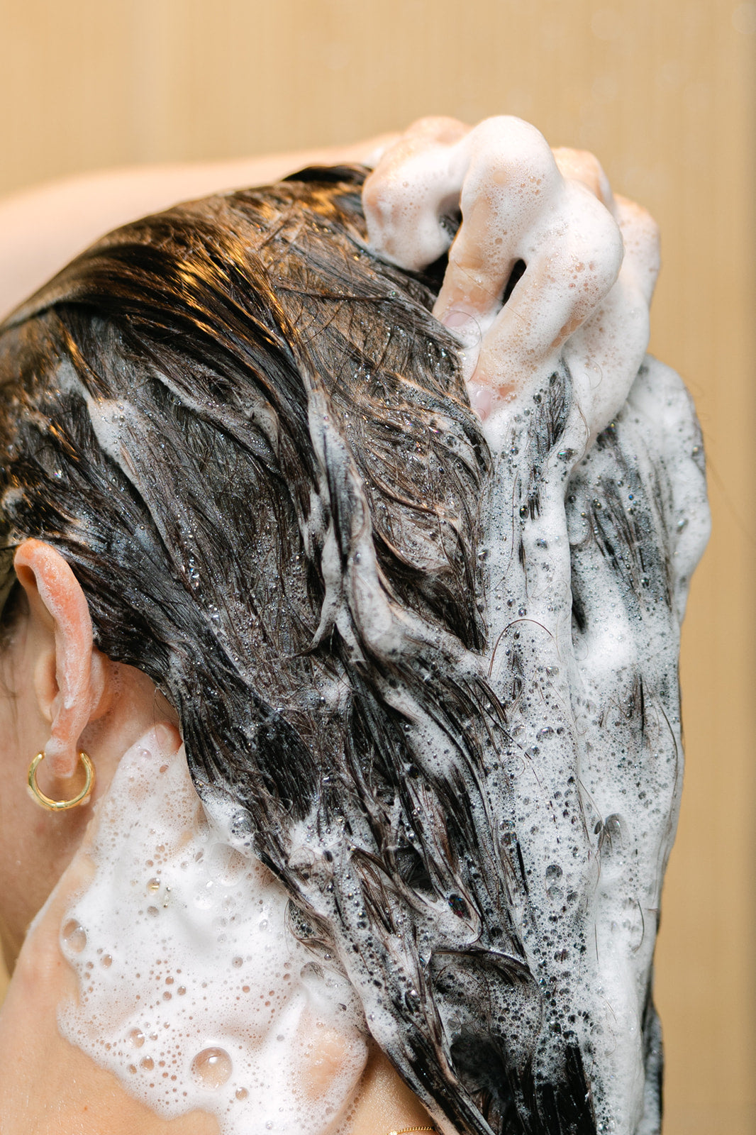 Tallow-Infused Shampoo & Conditioner